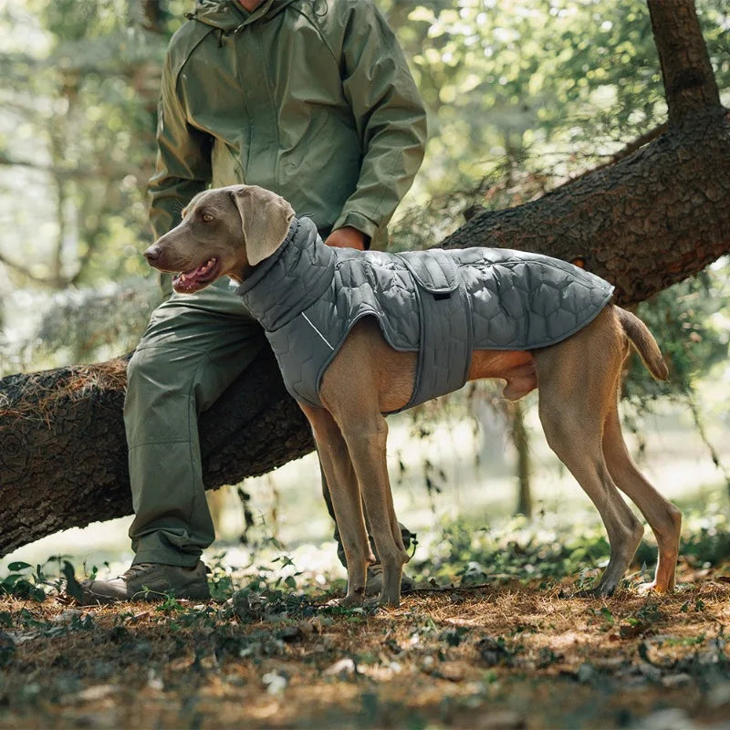 Manteau d'hiver matelassé pour chien Veldt