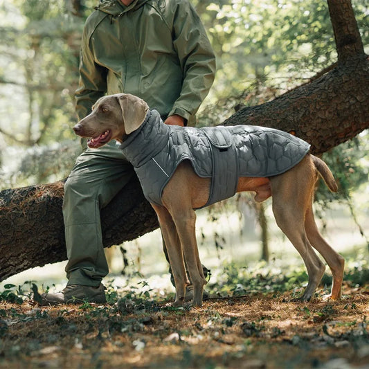 Manteau d'hiver matelassé pour chien Veldt