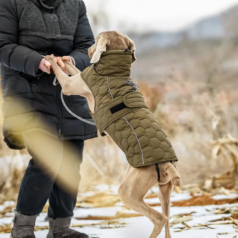 Manteau Matelassé Hiver